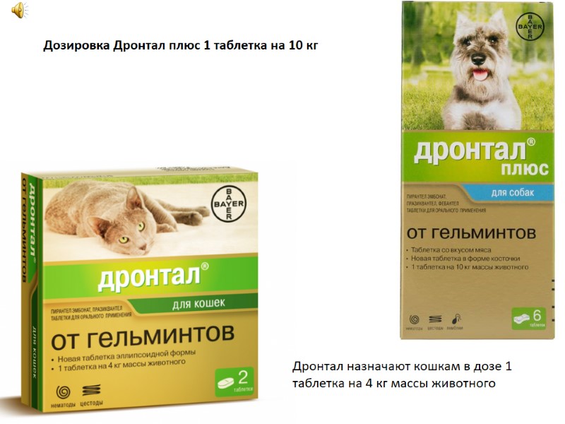 Дронтал назначают кошкам в дозе 1 таблетка на 4 кг массы животного Дозировка Дронтал